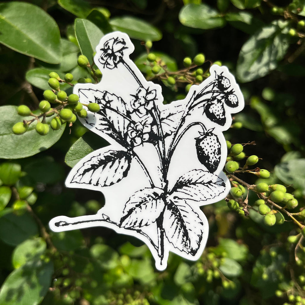 Strawberry Botanical Vinyl Sticker