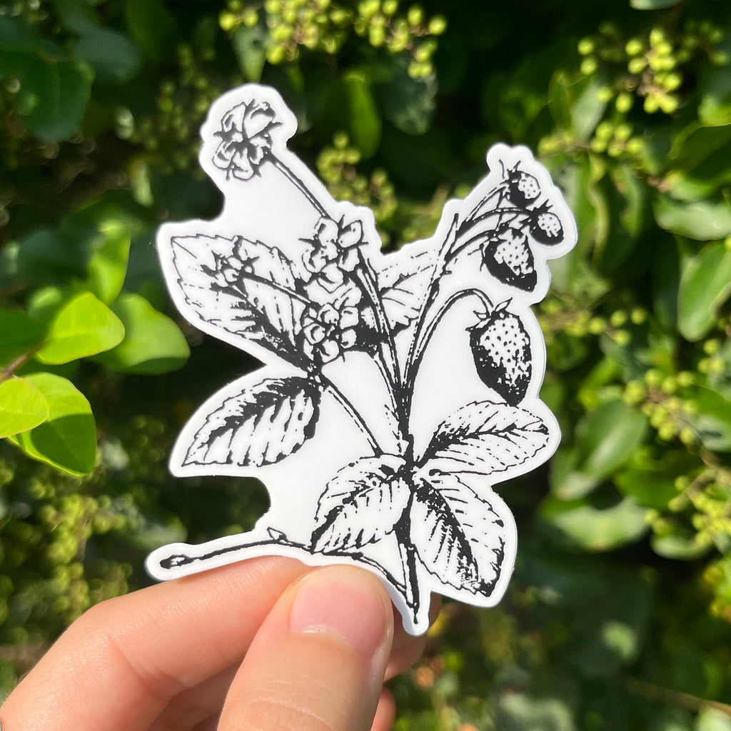 Strawberry Botanical Vinyl Sticker