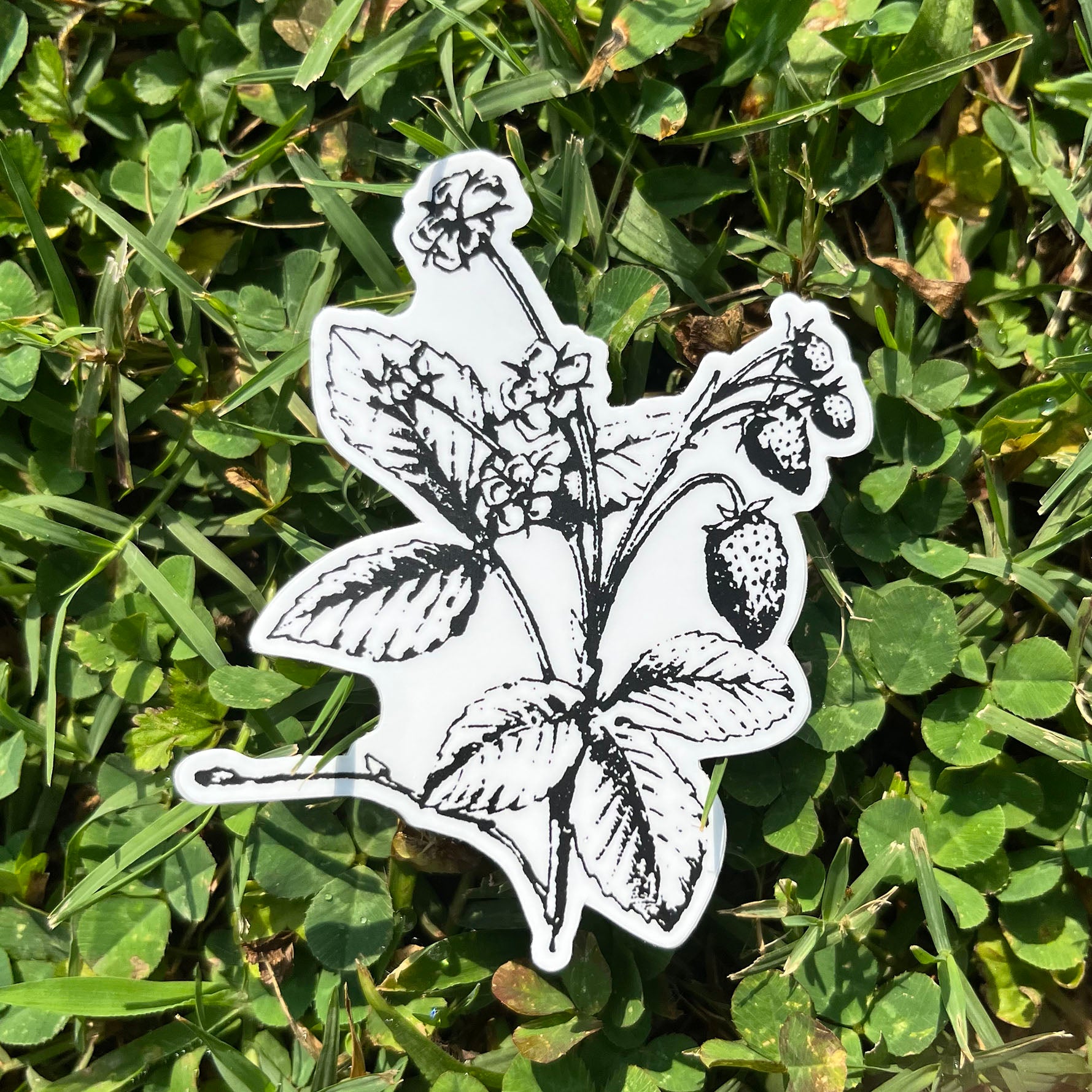 Strawberry Botanical Vinyl Sticker