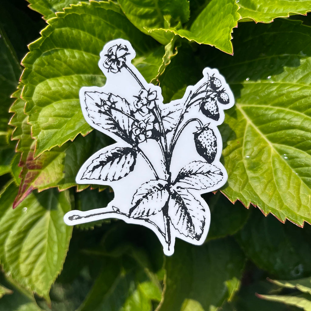 Strawberry Botanical Vinyl Sticker