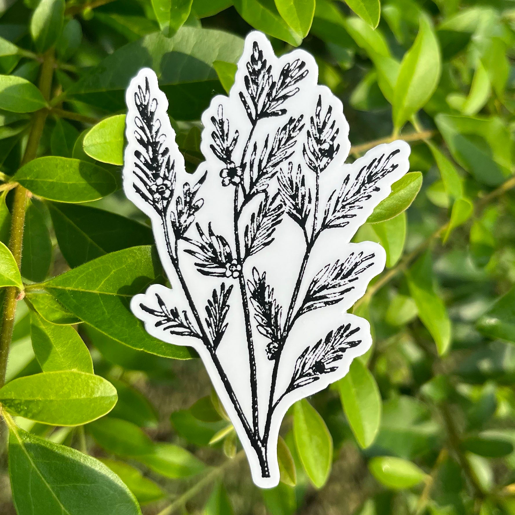 Tea Tree Botanical Vinyl Sticker