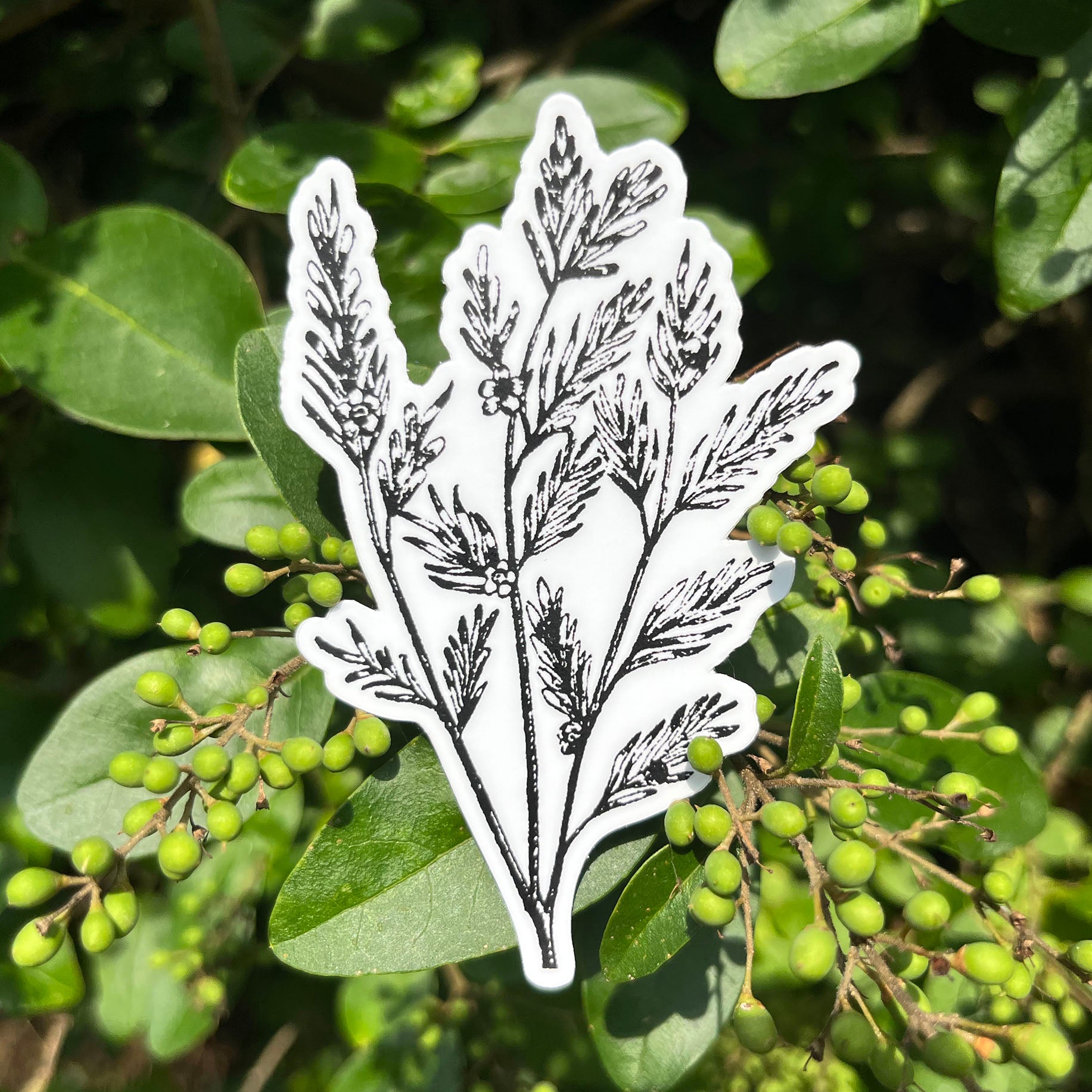 Tea Tree Botanical Vinyl Sticker