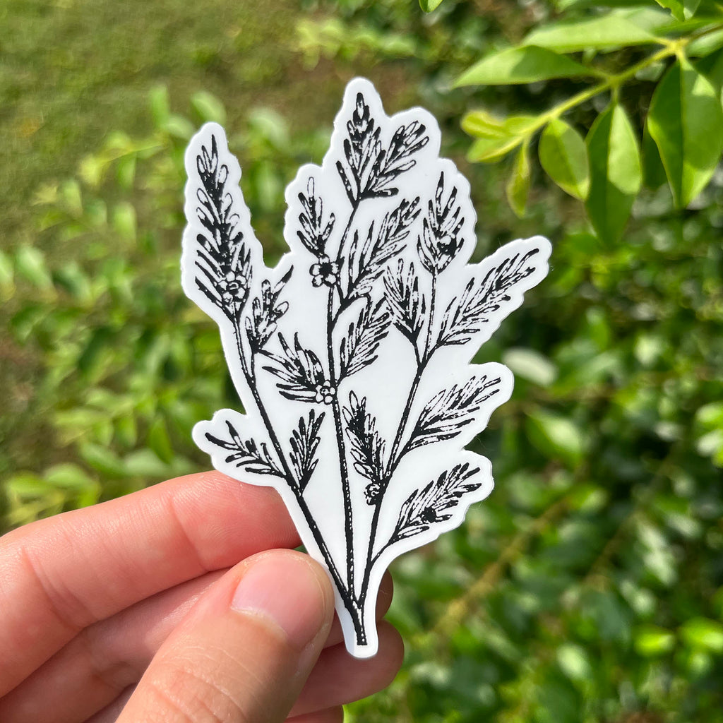 Tea Tree Botanical Vinyl Sticker