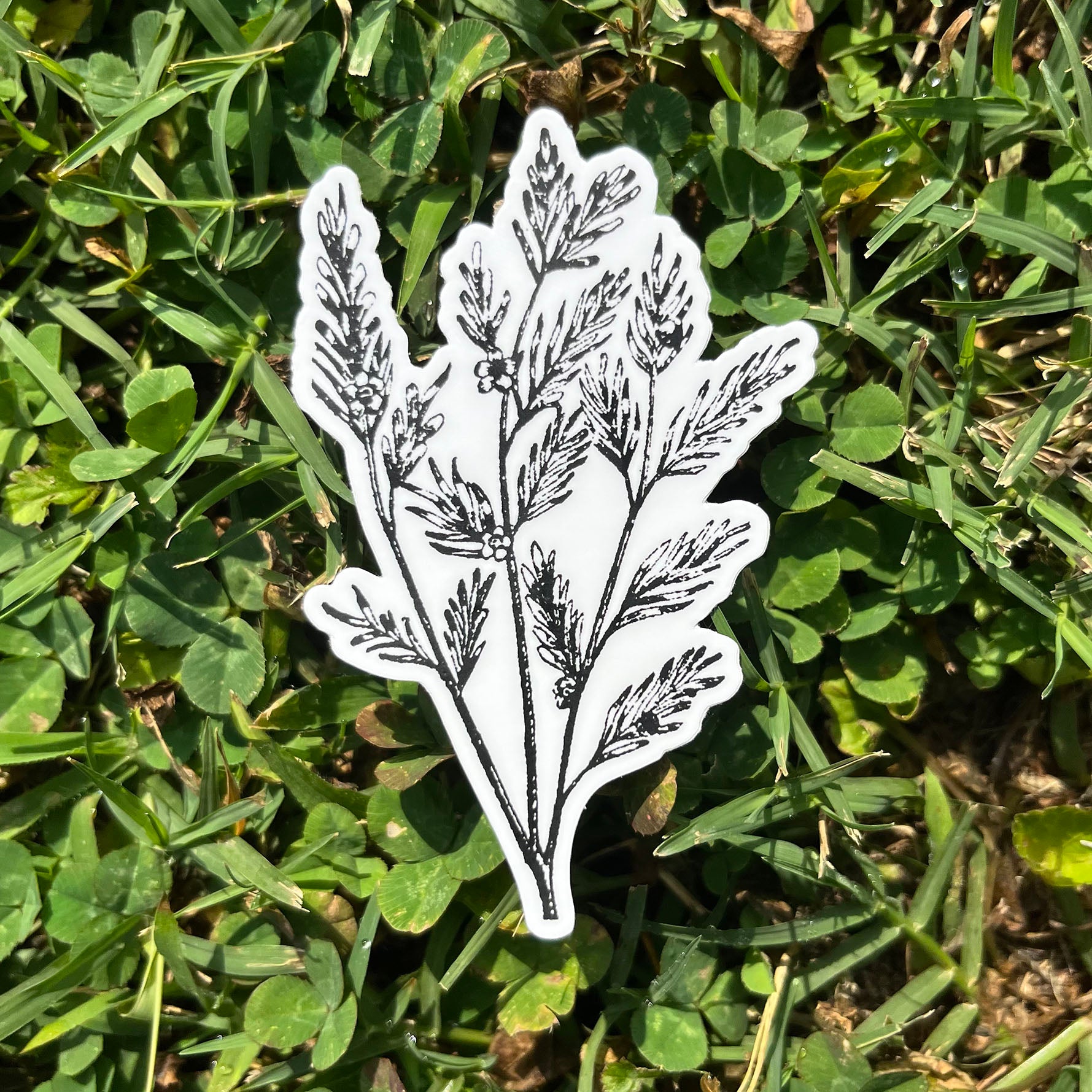 Tea Tree Botanical Vinyl Sticker