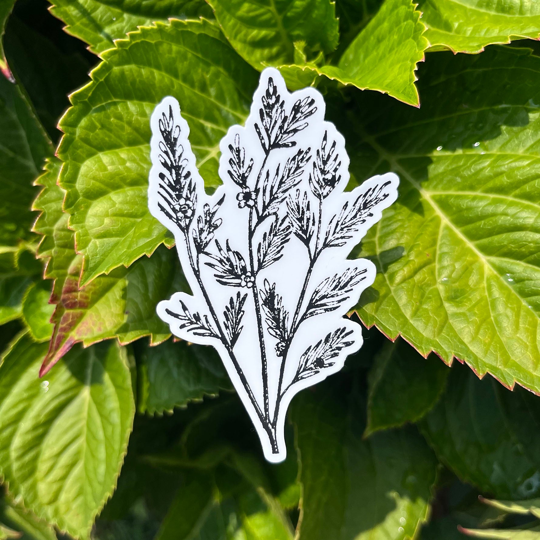 Tea Tree Botanical Vinyl Sticker