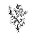 Tea Tree Botanical Vinyl Sticker
