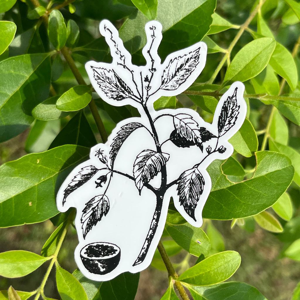 Manchineel Botanical Vinyl Sticker