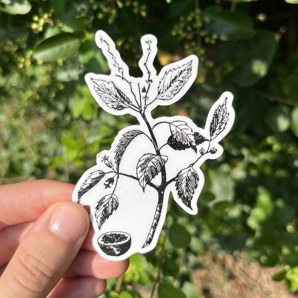 Manchineel Botanical Vinyl Sticker
