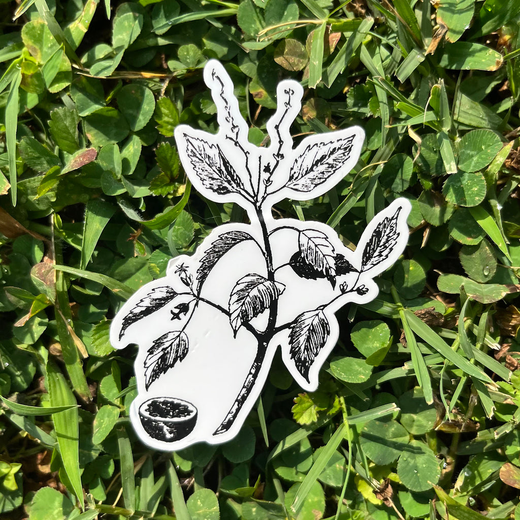 Manchineel Botanical Vinyl Sticker