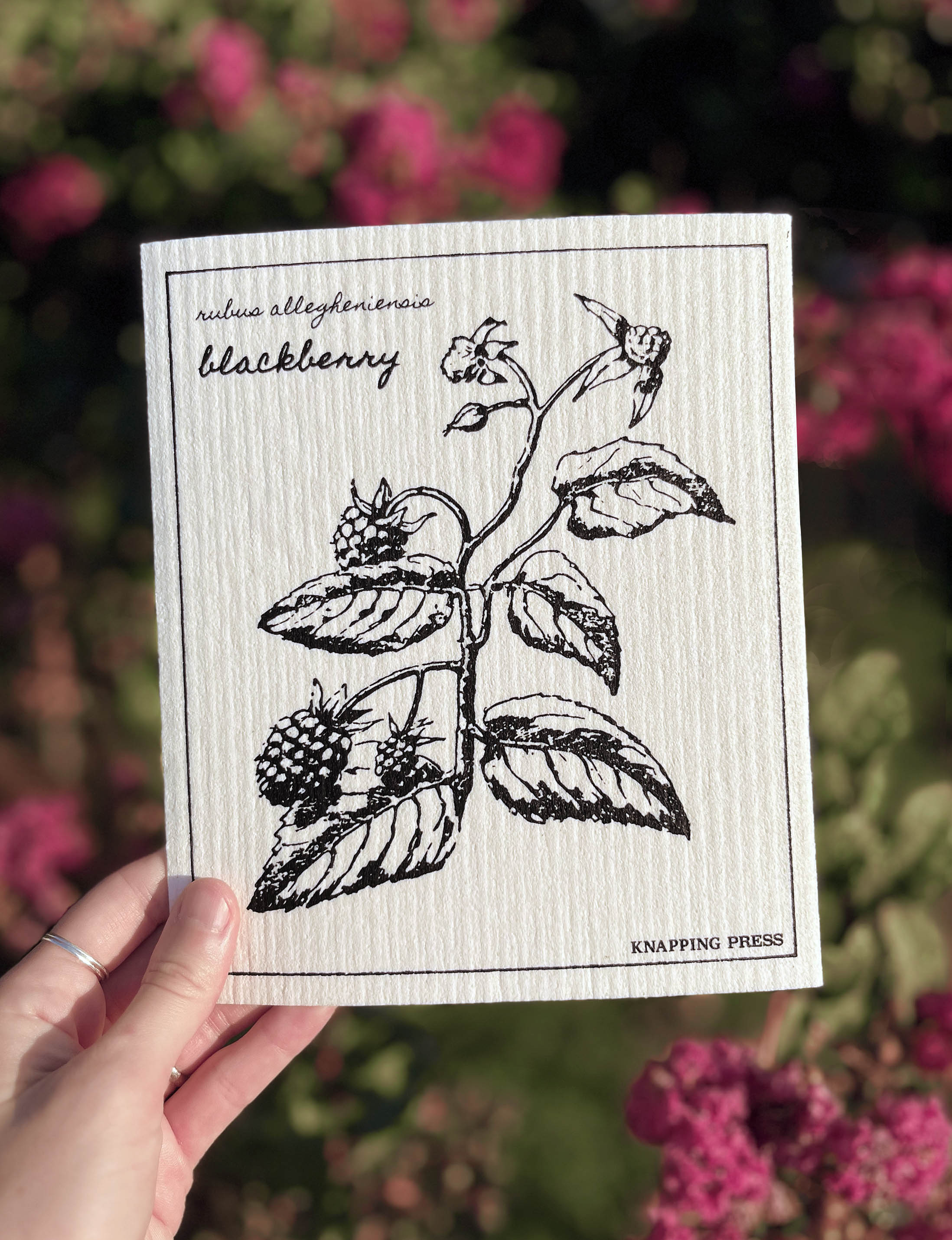 Swedish Dishcloth - Blackberry