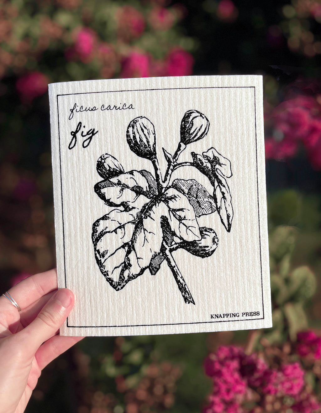 Swedish Dishcloth - Fig
