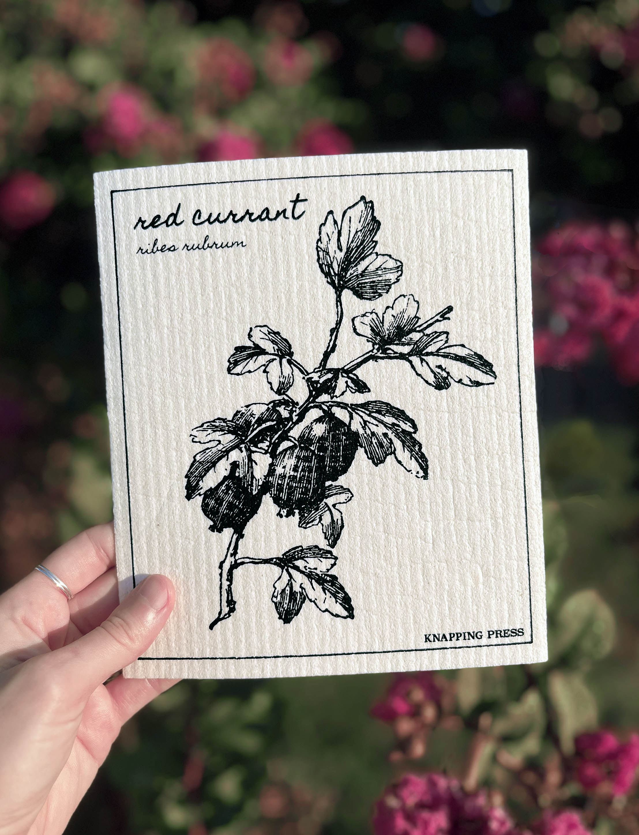 Swedish Dishcloth - Red Currant