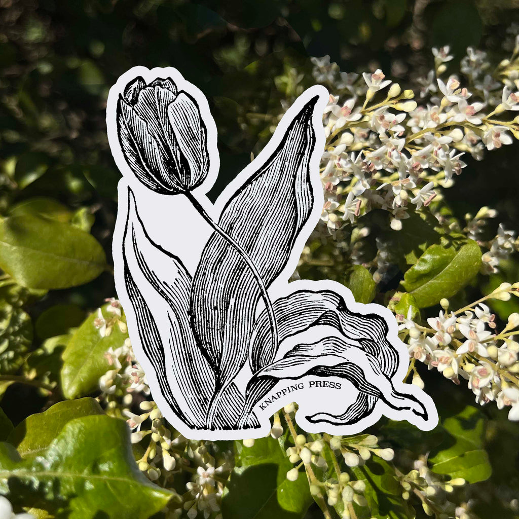 Tulip Botanical Vinyl Sticker