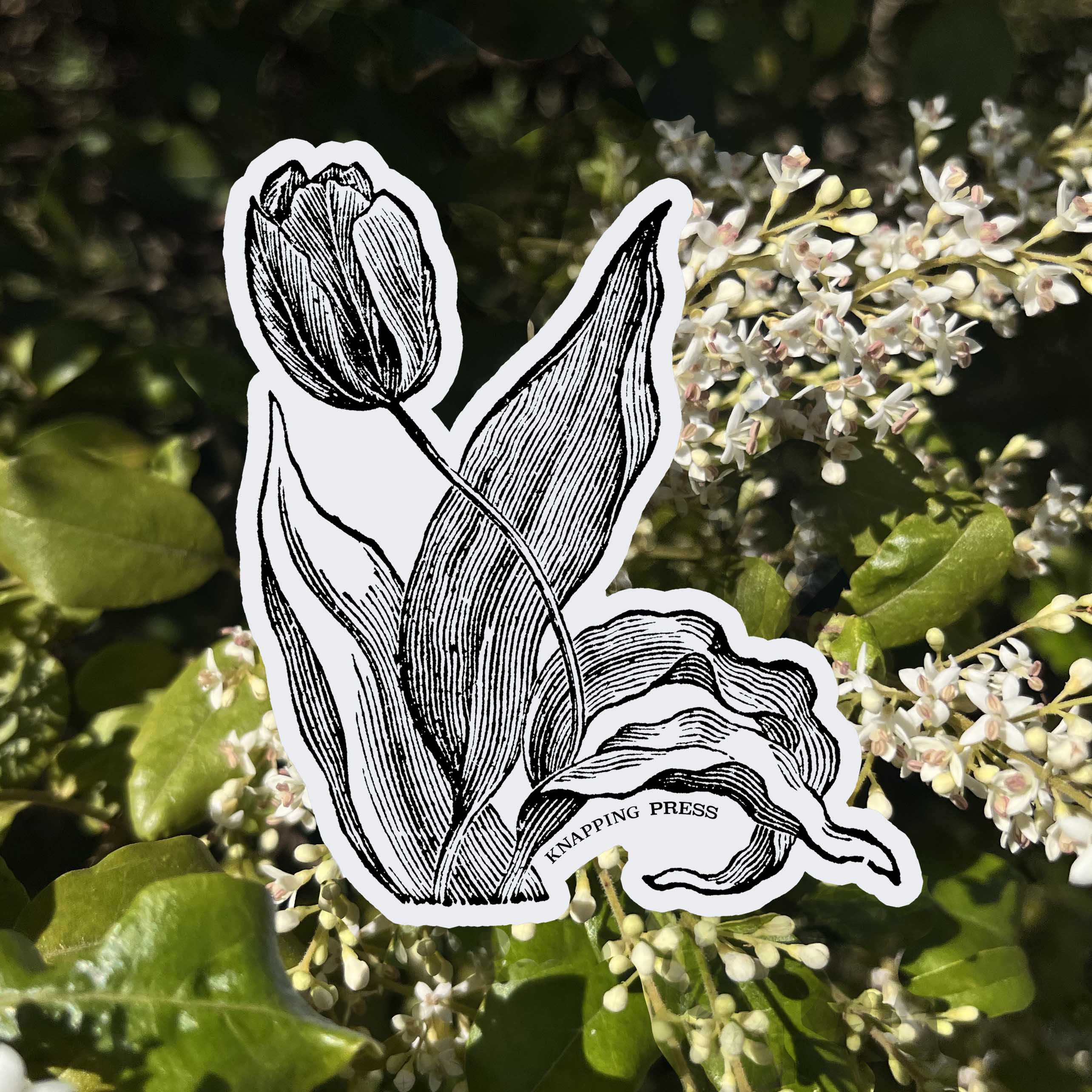 Tulip Botanical Vinyl Sticker