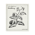 Swedish Dishcloth - Blackberry