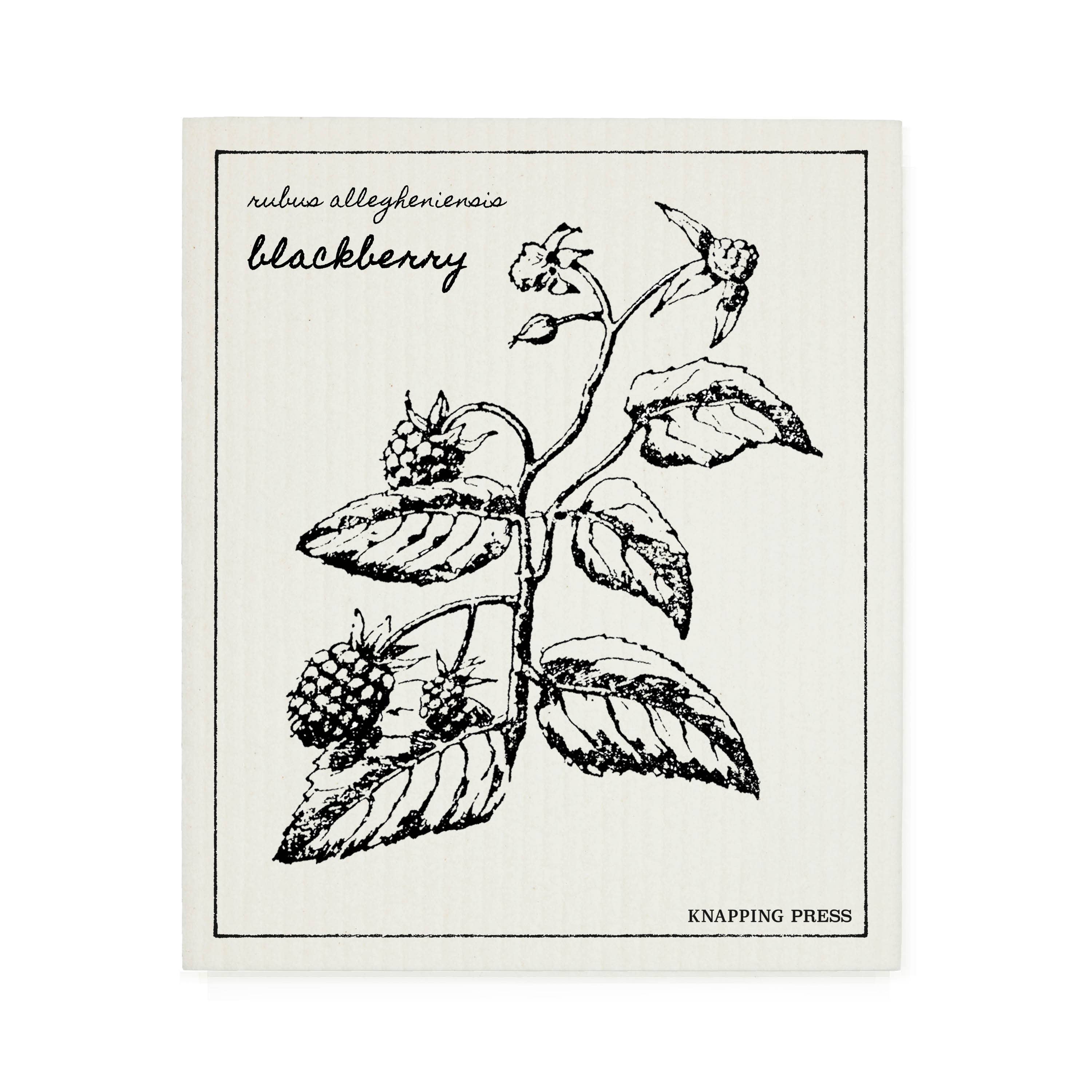 Swedish Dishcloth - Blackberry