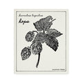 Swedish Dishcloth - Hops