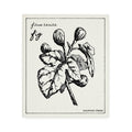 Swedish Dishcloth - Fig